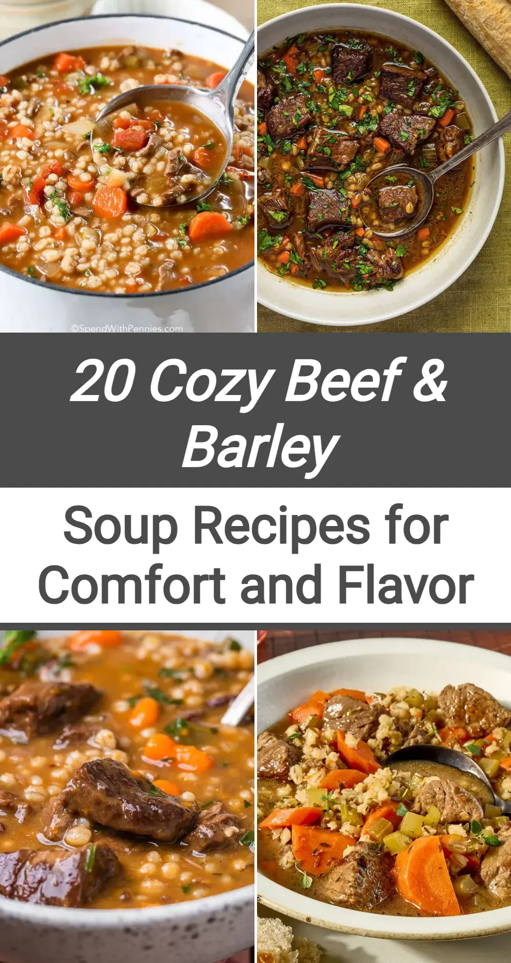 Photo of Beef Barley Soup