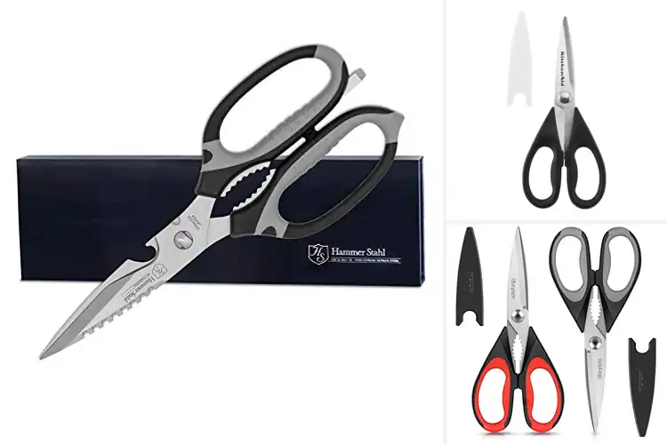 Detailed view of 10 Best Kitchen Shears That Slice Like a Dream