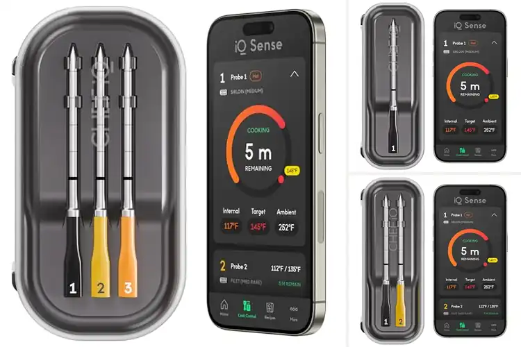 Detailed view of 10 Best Meat Thermometers for Juicy, Perfect Meat