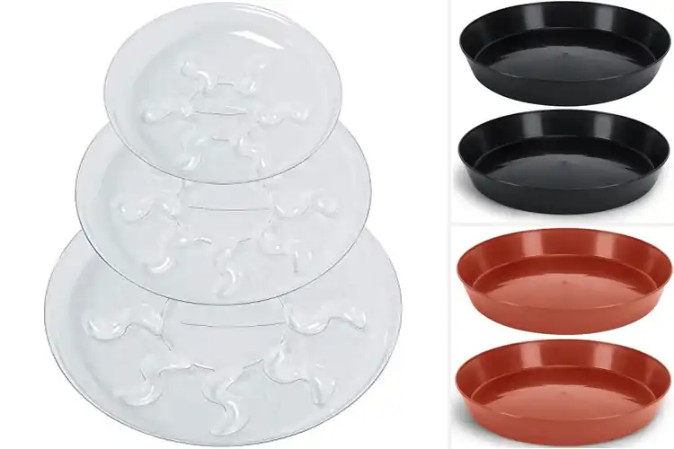 Detailed view of 10 Best Plant Saucer Pans: Keep Your Space Tidy & Green