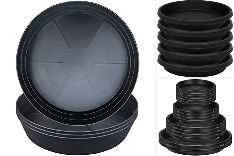 Detailed view of 10 Best Water Catcher Trays That Keep Your Space Spotless
