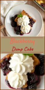 Blackberry Dump Cake Vertical Photo
