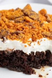 Butterfinger Cake Recipe Photo