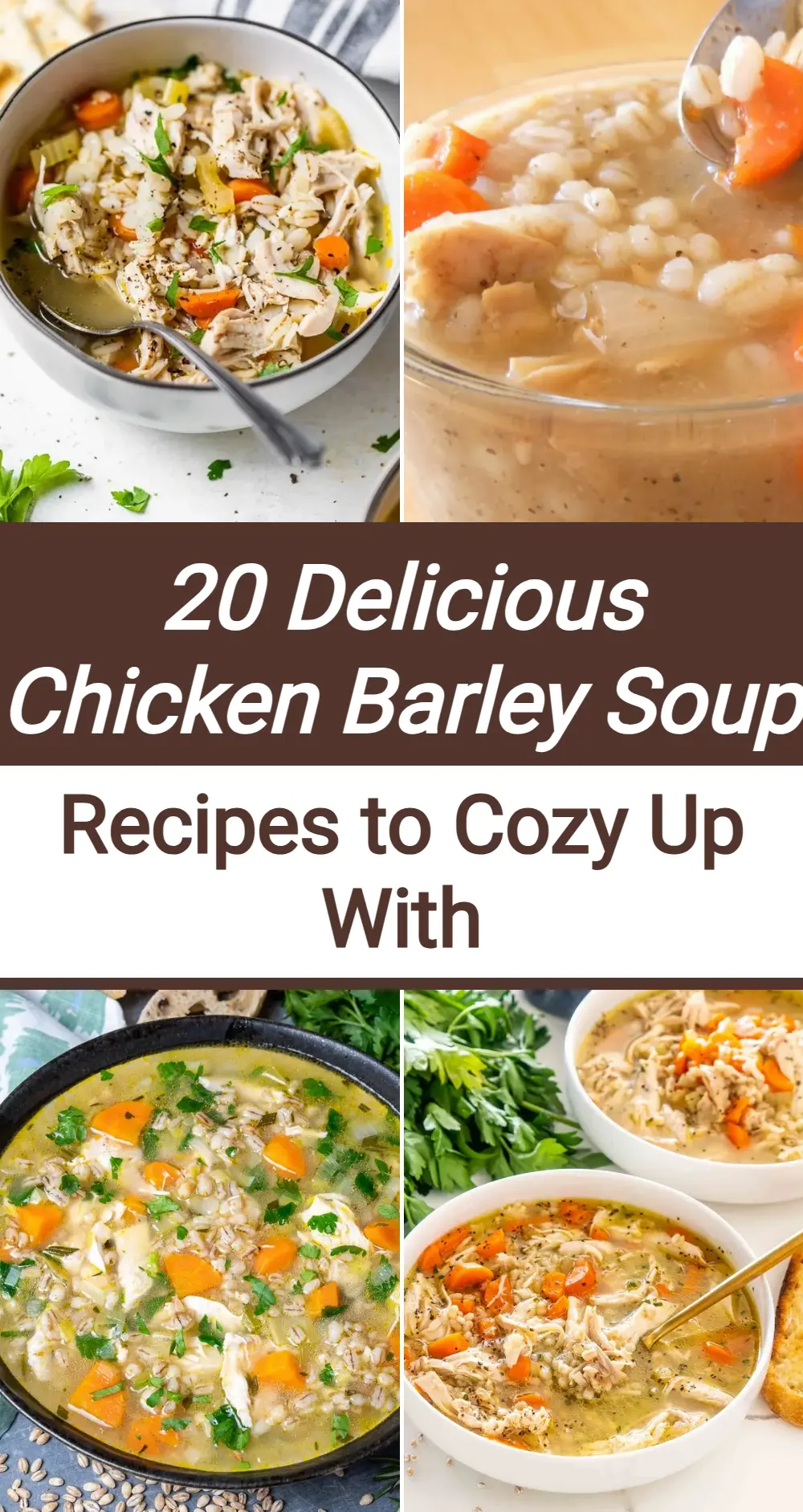 Photo of Chicken Barley Soup