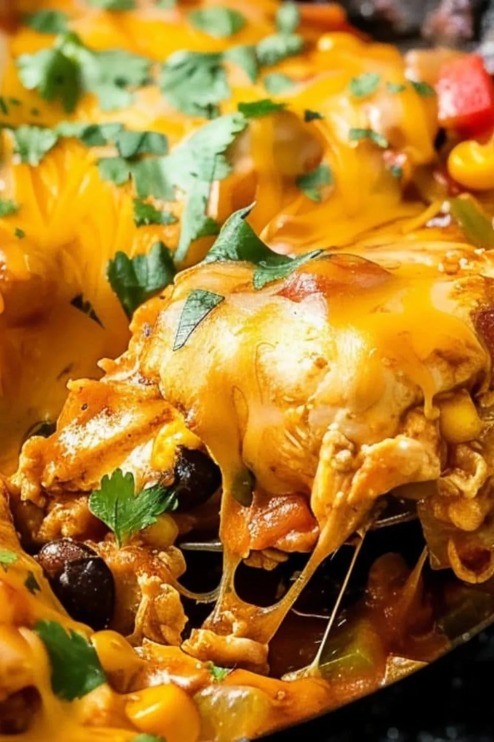 Chicken Enchilada Skillet Photo
