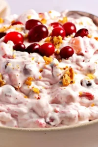 Creamy Cranberry Salad Photo