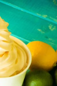 Disney Dole Whip Recipe Photo