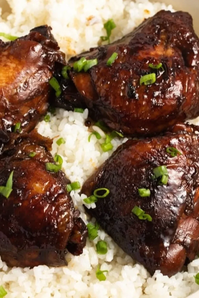 Filipino Chicken Adobo Photo
