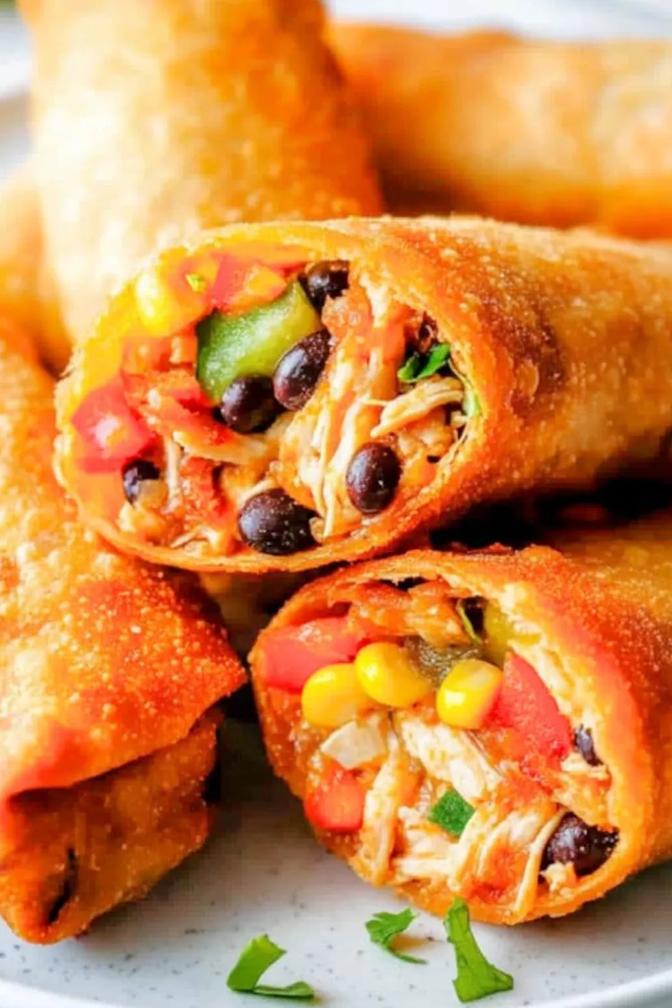 Southwestern Egg Rolls Photo