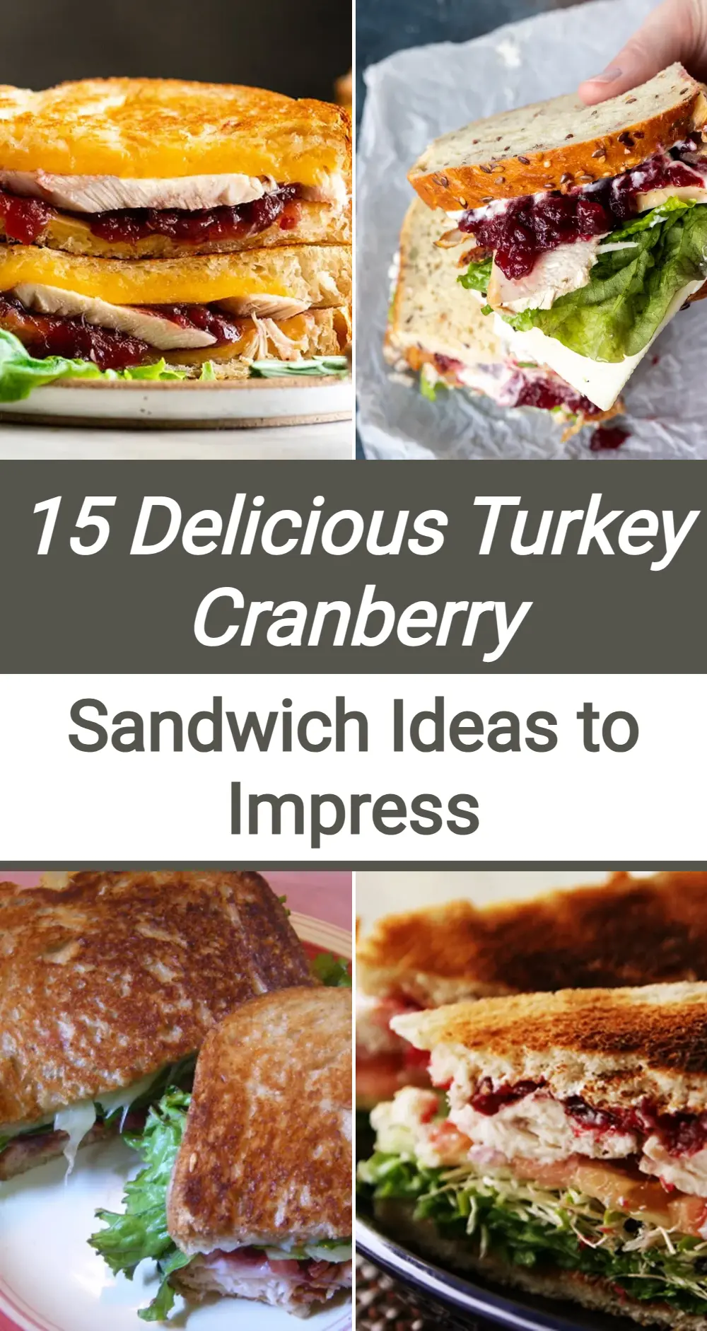 Photo of Turkey Cranberry Sandwich